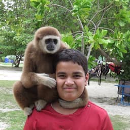 Ansh Dhingra profile photo