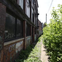 A walk through the forgotten areas of Moncton. cover photo
