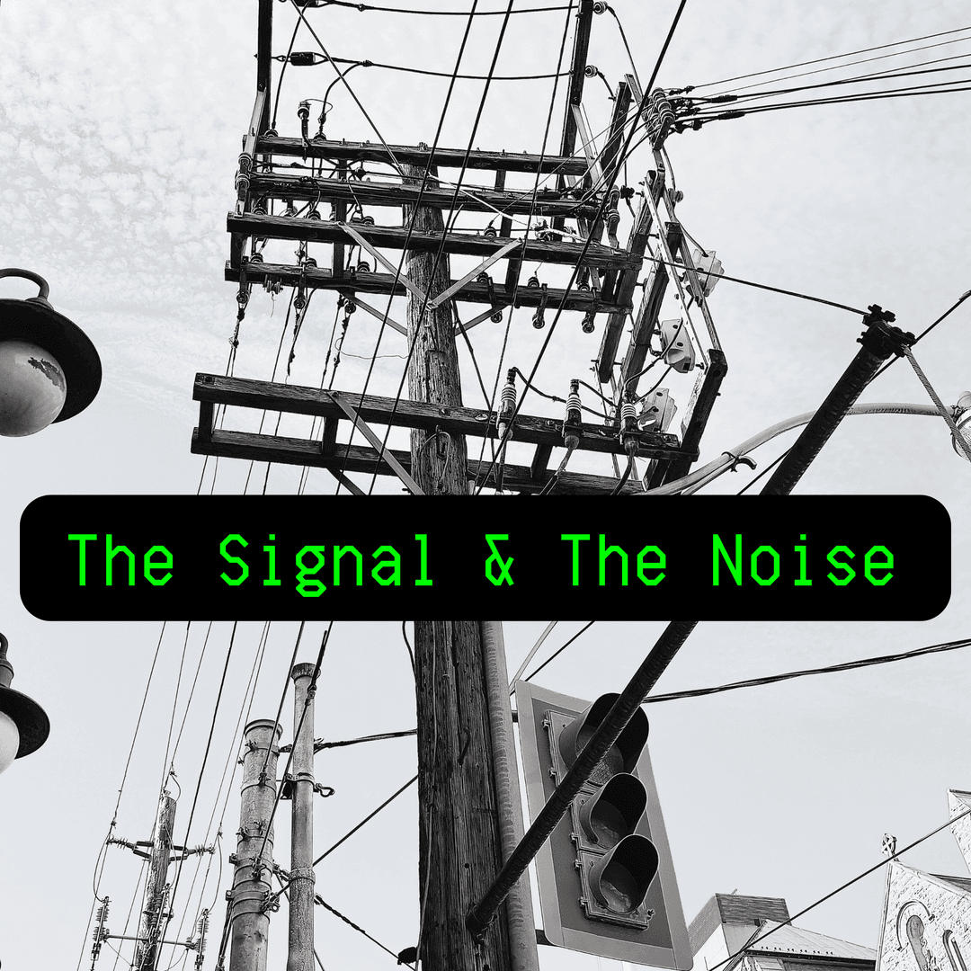 The Signal and the Noise cover photo