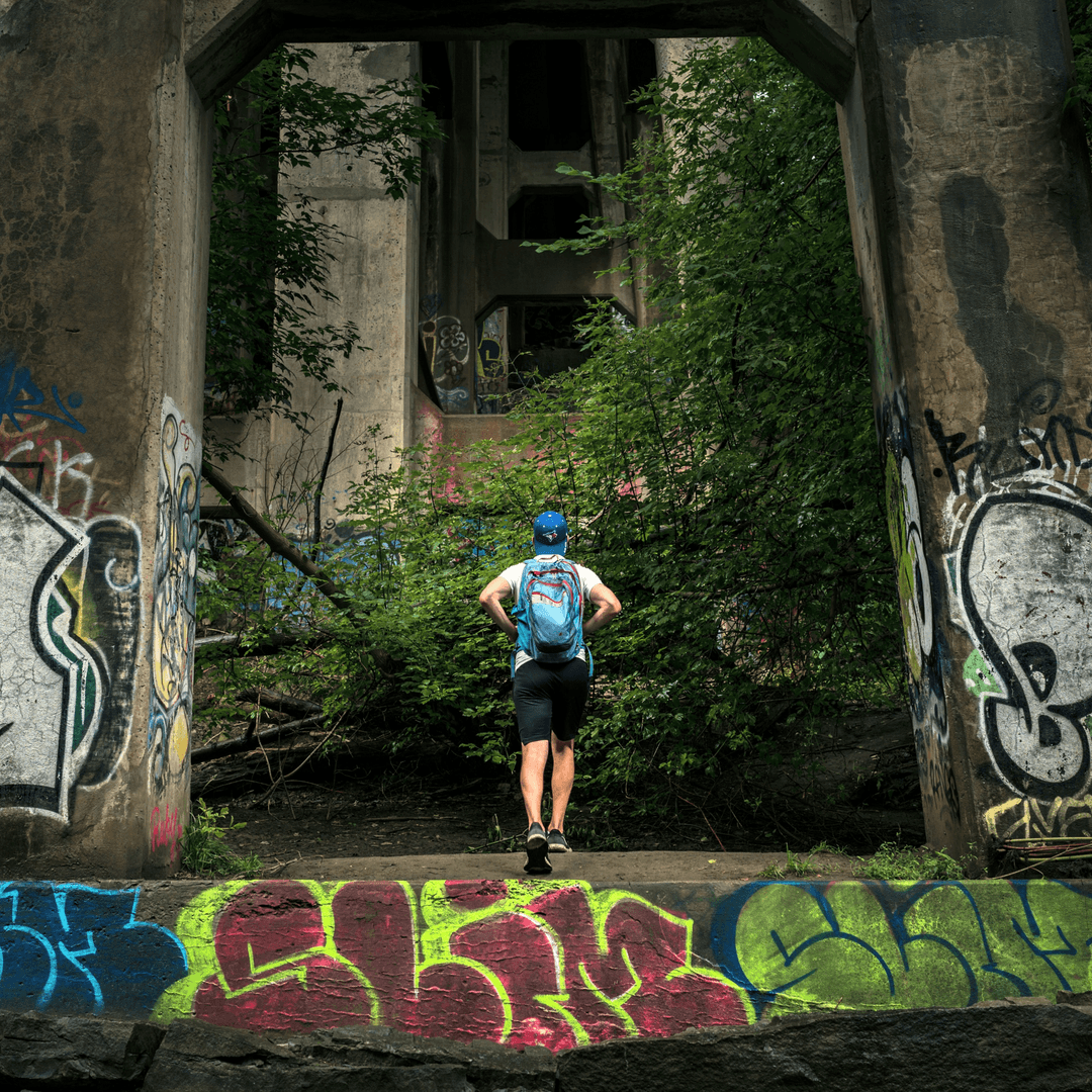 The Nature of Transit cover photo