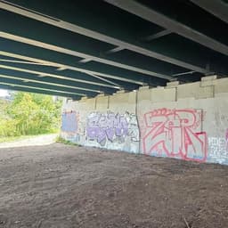 Pop Up Concert Under a Bridge cover photo