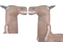 ChamCham profile photo
