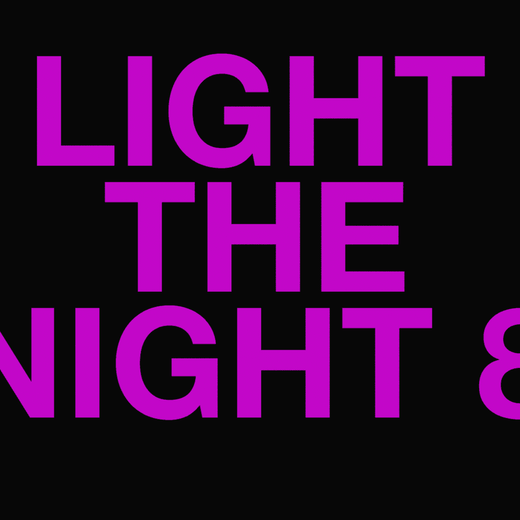 Light the Night 8 cover photo